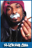 Slicksno.com - Snoop Dogg
