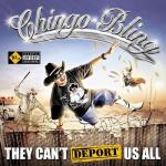 Chingo Bling - They Canâ€™t Deport Us All